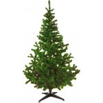 Brad Artificial 180CM + Bonus: Instalatie Led-uri + suport metalic 1 Brad Artificial 180CM + Bonus: Instalatie Led-uri + suport metalic