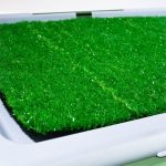 Toaleta pentru caini