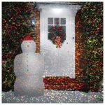 Proiector laser rotativ MEDIASHOP Star Shower Motion M10115