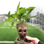 Ghiveci de flori Copilul Groot 4 Ghiveci de flori Copilul Groot