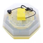Incubator electric oua cu termometru Cleo 5T, 230 V, 60 oua capacitate 1 Incubator electric oua cu termometru Cleo 5T, 230 V, 60 oua capacitate