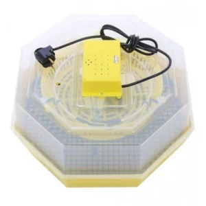 Incubator electric oua cu dispozitiv de intoarcere si termometru Cleo 5DT, 230 V, 41 oua capacitate, 38°C temperatura incubare