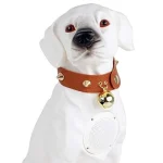 Boxa Portabila Labrador ALB Cu Bluetooth CH M211M Cititor USB Card Radio si microfon