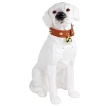 Boxa Portabila Labrador ALB Cu Bluetooth CH M211M Cititor USB Card Radio si microfon