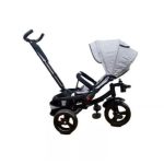 Tricicleta cu scaun reversibil, pozitie de somn, 8-36 luni -GRI